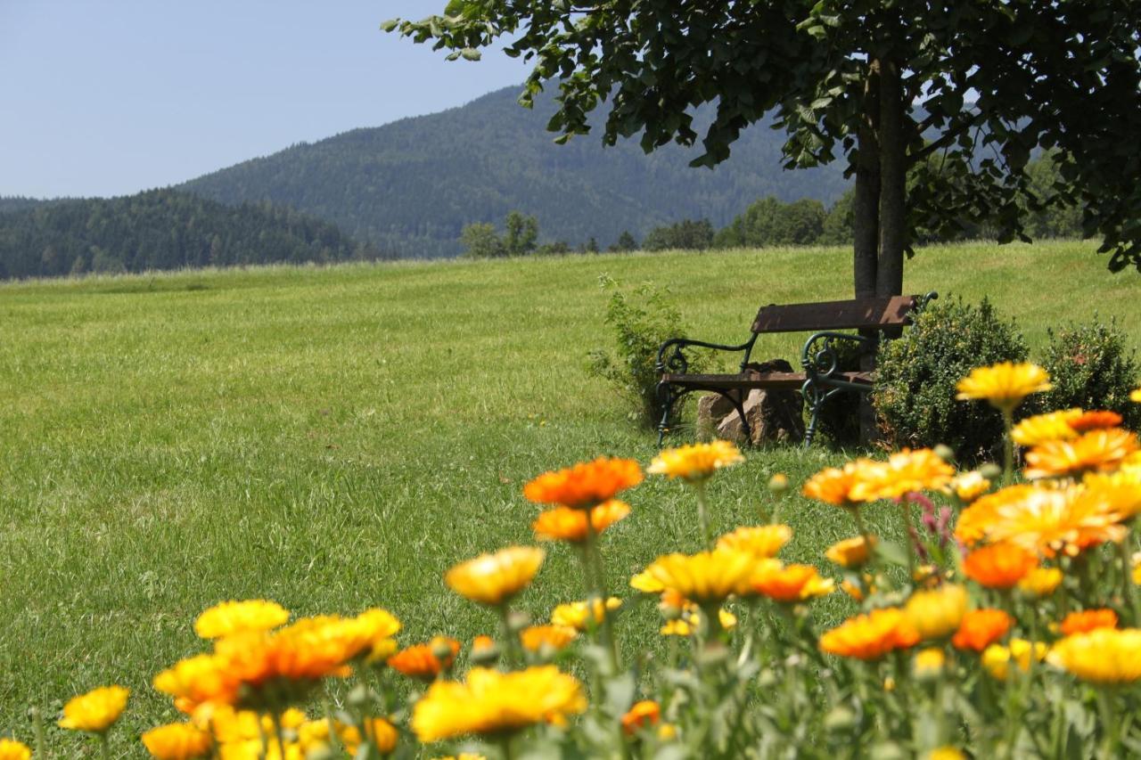 Almenlandhof Villa ฟลาดนิทซ์ อัน เดอร์ ไทค์อัลม์ ภายนอก รูปภาพ